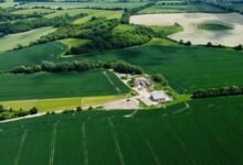 sector output analysis report