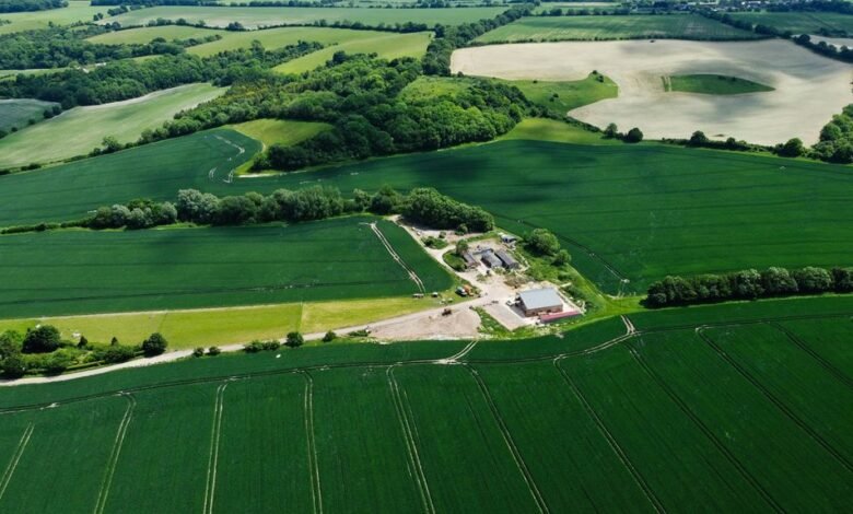 sector output analysis report