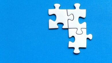 strategic insights on entities